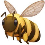 Honeybee on Facebook 13.1