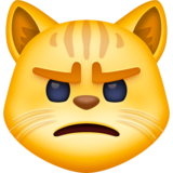 Pouting Cat on Facebook 13.1