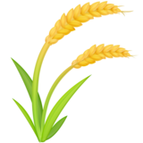 Sheaf of Rice on Facebook 13.0