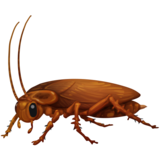 Cockroach on Facebook 14.0