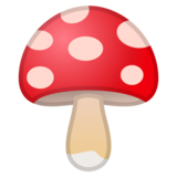 Mushroom on Google Noto Color Emoji Android 10.0