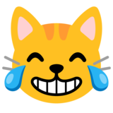 Cat with Tears of Joy on Google Noto Color Emoji Android 11.0 December 2020 Feature Drop
