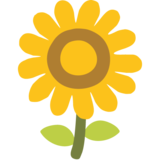Sunflower on Google Noto Color Emoji Android 7.0