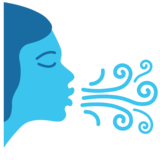 Wind Face on Google Noto Color Emoji Android 7.0