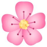 Cherry Blossom on JoyPixels 6.5