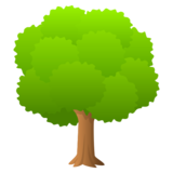 Deciduous Tree on JoyPixels 6.5