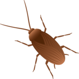 Cockroach on JoyPixels 7.0