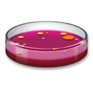Petri Dish on LG Velvet