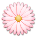 Blossom on LG G4