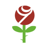 Rose on Microsoft Windows 8.1