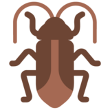 Cockroach on Microsoft Windows 11 November 2021 Update