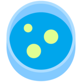 Petri Dish on Microsoft Windows 11 22H2