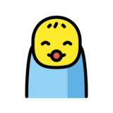 Baby on OpenMoji 12.2