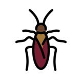 Cockroach on OpenMoji 14.0
