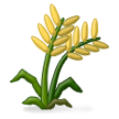 Sheaf of Rice on Samsung Experience 9.1