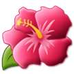 Hibiscus on Samsung Experience 9.1