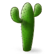 Cactus on Samsung Experience 9.5
