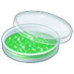 Petri Dish on Samsung One UI 1.0