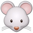 Mouse Face on Samsung One UI 1.5