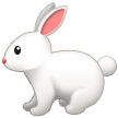Rabbit on Samsung One UI 3.1.1