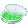 Petri Dish on Samsung One UI 5.0
