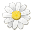 Blossom on Samsung Experience 8.0