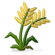 Sheaf of Rice on Samsung Experience 8.0