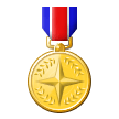 Military Medal on Samsung Experience 8.1