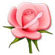 Rose on Samsung Experience 8.1