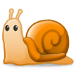 Snail on Samsung Experience 8.1