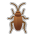 Cockroach on Sony Playstation 13.1