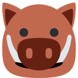 Boar on Twitter Twemoji 11.2