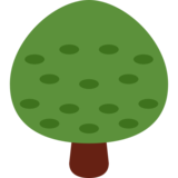 Deciduous Tree on Twitter Twemoji 11.2