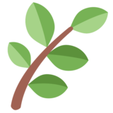 Herb on Twitter Twemoji 11.2