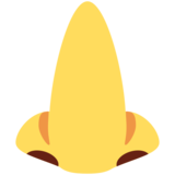 Nose on Twitter Twemoji 11.2