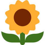 Sunflower on Twitter Twemoji 11.2