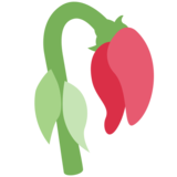 Wilted Flower on Twitter Twemoji 11.2