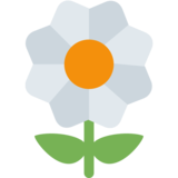 Blossom on Twitter Twemoji 11.4