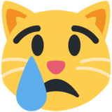 Crying Cat on Twitter Twemoji 11.4
