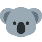 Koala on Twitter Twemoji 11.4