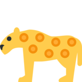 Leopard on Twitter Twemoji 11.4