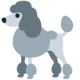 Poodle on Twitter Twemoji 13.0.2