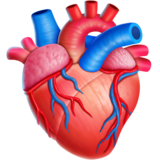 🫀 Corazón Humano Emoji on Twitter Emoji Stickers 13.1