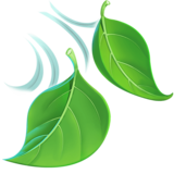 🍃 Hojas Revoloteando Al Viento Emoji on Twitter Emoji Stickers 13.1