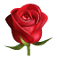 Rose on WhatsApp 2.17