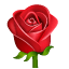 Rose on WhatsApp 2.19.7