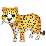 Leopard on WhatsApp 2.19.244