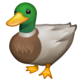 Duck on WhatsApp 2.19.352