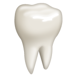 Tooth on WhatsApp 2.20.206.24
