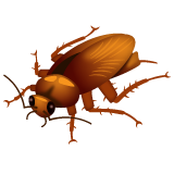 Cockroach on WhatsApp 2.22.8.79